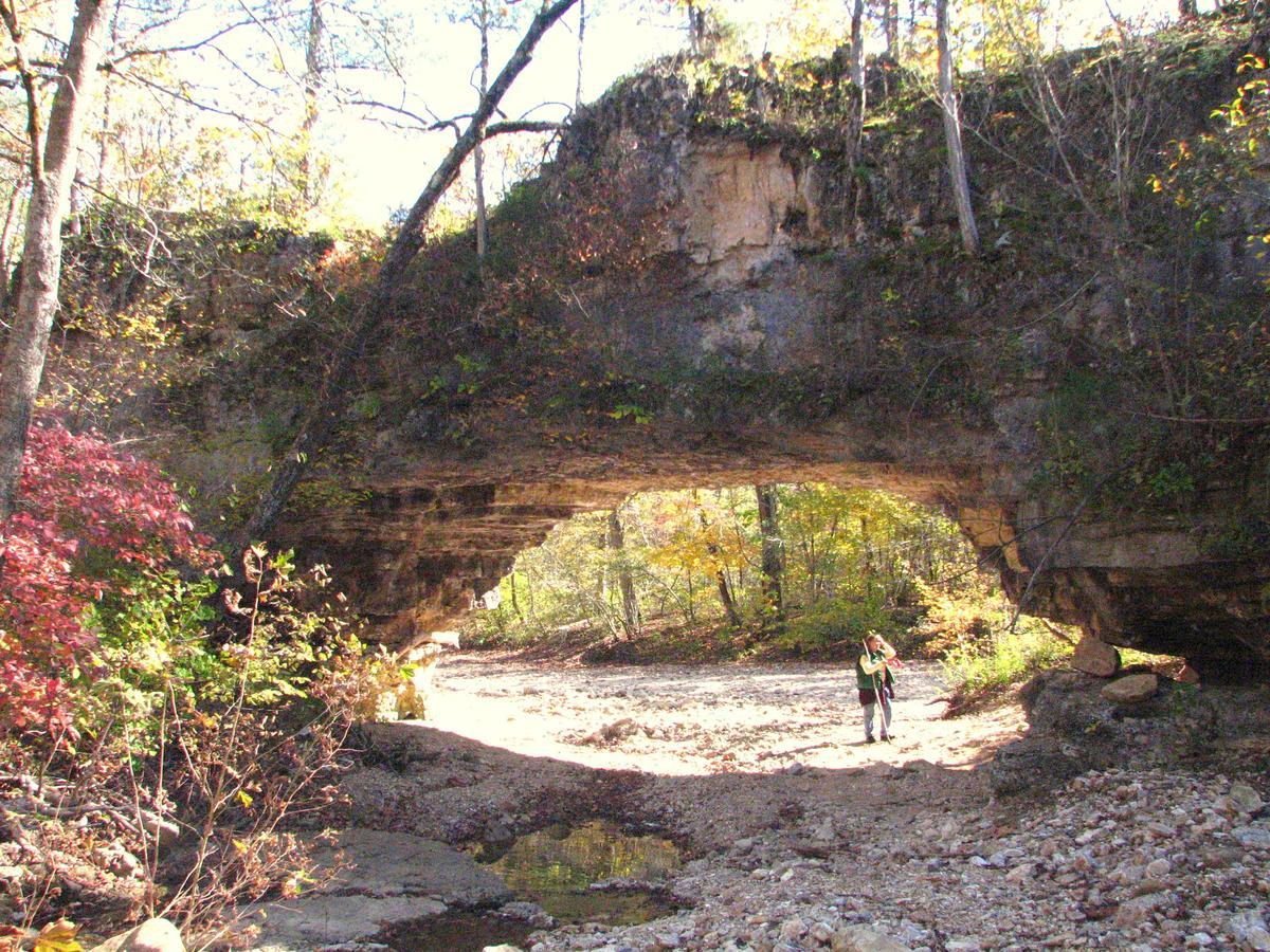 Rock Eddy Bluff Farm Cabins Dixon Bagian luar foto